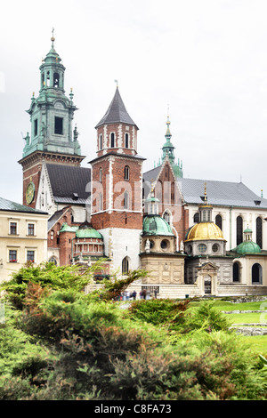 Wawel-Schloss. Krakau. Republik Polen Stockfoto
