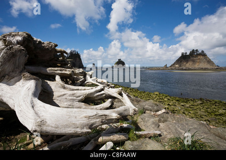 La Push, Olympic Peninsula, US-Bundesstaat Washington, Vereinigte Staaten von Amerika Stockfoto