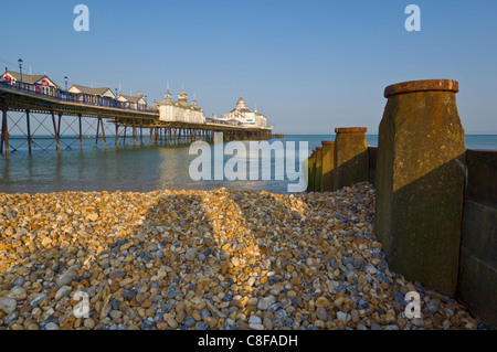 Eastbourne Pier, Strand und Buhnen, Eastbourne, East Sussex, England, Vereinigtes Königreich Stockfoto