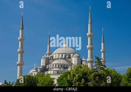 Die blaue Moschee (Sultan Ahmet Camii) mit Kuppeln und Minarette, Sultanahmet, zentral-Istanbul, Türkei Stockfoto