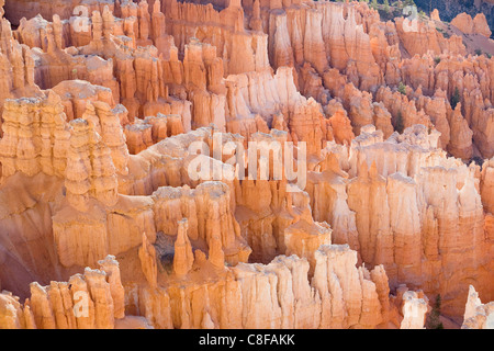 Bryce Canyon, Utah, Vereinigte Staaten von Amerika Stockfoto