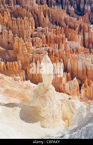 Sandstein-Formationen, Bryce-Canyon-Nationalpark, Utah, Vereinigte Staaten von Amerika Stockfoto