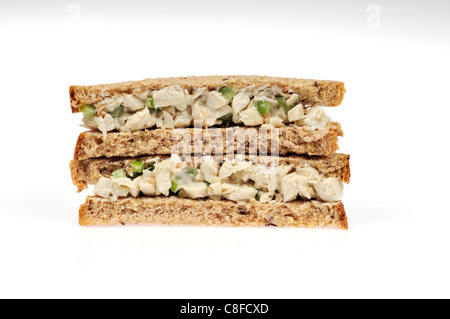 Chicken Salat Sandwich mit Sellerie & Mayo auf Vollkorn Schwarzbrot auf weißem Hintergrund Ausschnitt. Stockfoto