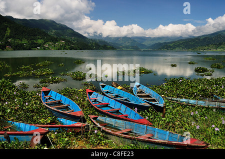 Phewa Tal (Phewa-See, Pokhara, Gandaki, Western Region (Pashchimanchal, Nepal Stockfoto