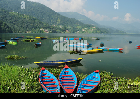 Phewa Tal (Phewa-See, Pokhara, Gandaki, Western Region (Pashchimanchal, Nepal Stockfoto