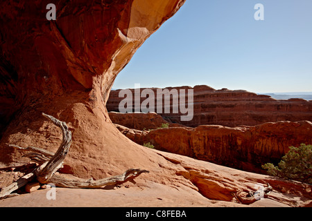 Partition Arch, Arches-Nationalpark, Utah, Vereinigte Staaten von Amerika Stockfoto