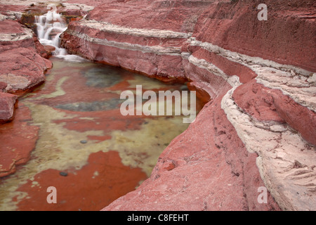 Kaskade am Creek durch den Red Rock Canyon, Waterton Lakes National Park, Alberta, Kanada Stockfoto