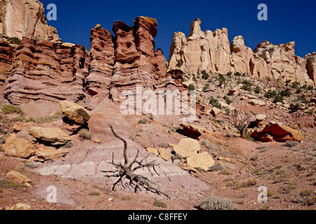 Felsformationen und tot Wacholder, Grand Staircase-Escalante National Monument, Utah, Vereinigte Staaten von Amerika Stockfoto