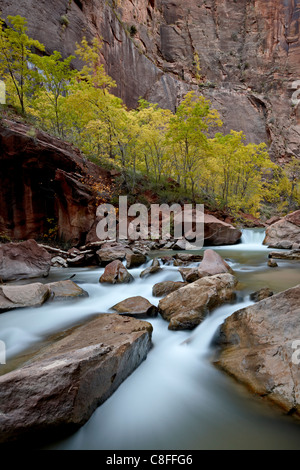 Kaskaden auf dem Virgin River im Herbst, Zion Nationalpark, Utah, Vereinigte Staaten von Amerika Stockfoto