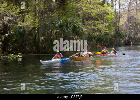 Einige Kajakfahrer und Kanu auf Silver River in der Nähe von Silver Springs State Park in Ocala, Florida Stockfoto