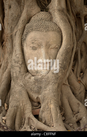 Wat Maha, Ayutthaya, UNESCO-Weltkulturerbe, Provinz Ayutthaya, Thailand, Südostasien Stockfoto