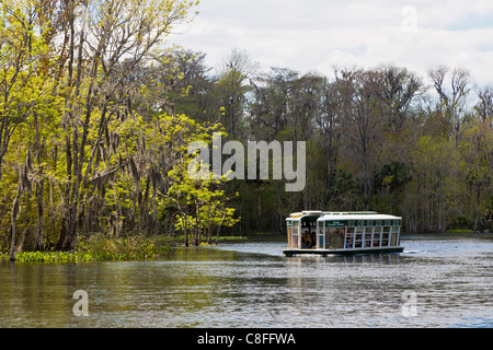 Parkgäste Rundgang Glasbodenboot des Flusses Silber im Silver Springs State Park in Ocala, Florida Stockfoto