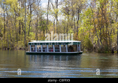 Parkgäste Rundgang Glasbodenboot des Flusses Silber im Silver Springs State Park in Ocala, Florida Stockfoto