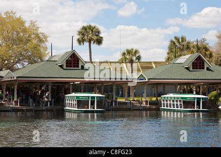 Parkgäste Rundgang Glasbodenboot des Flusses Silber im Silver Springs State Park in Ocala, Florida Stockfoto