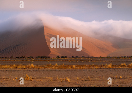 Frühen Morgennebel auf roten Sanddünen steigt auf 300m ins Sossusvlei, Namib-Naukluft Park, Namibia Stockfoto