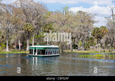 Parkgäste Rundgang Glasbodenboot des Flusses Silber im Silver Springs State Park in Ocala, Florida Stockfoto