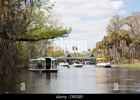 Private Boote und Glasbodenboote an Frühling Spitze von Silver Springs State Park in Ocala, Florida Stockfoto