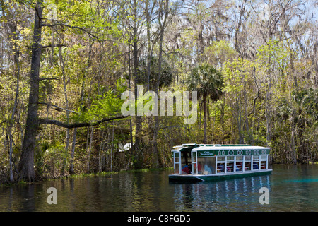 Parkgäste Rundgang Glasbodenboot des Flusses Silber im Silver Springs State Park in Ocala, Florida Stockfoto