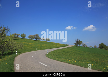 Reisen, Natur, Landwirtschaft, Europa, Schweiz, Baselland, Ackerland, ländlichen, ruhigen, landschaftlich, Landschaft, blauer Himmel, Wolke, Gree Stockfoto