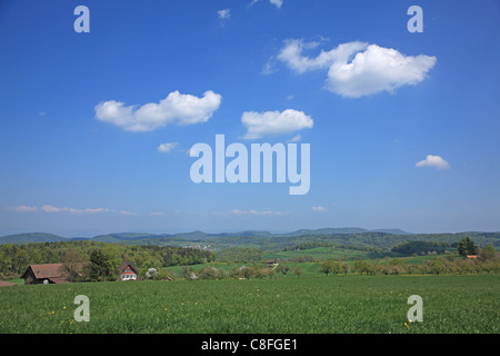 Natur, Landwirtschaft, Europa, Schweiz, Baselland, Ackerland, ländlich, ruhig, Scenic, Landschaft, blau, Himmel, Wolke, grün, Sprin Stockfoto