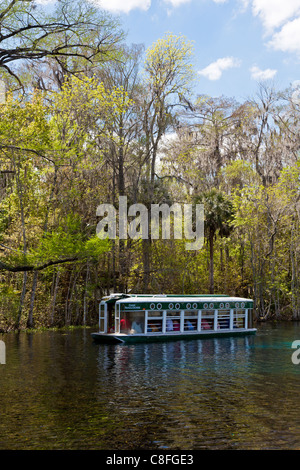 Parkgäste Rundgang Glasbodenboot des Flusses Silber im Silver Springs State Park in Ocala, Florida Stockfoto