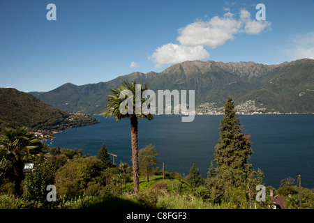 Blick vom Sant Abbondio, Lago Maggiore, Kanton Tessin, Schweiz Stockfoto