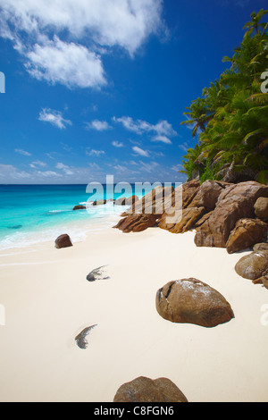 Verlassener Strand, La Digue, Seychellen, Indischer Ozean Stockfoto