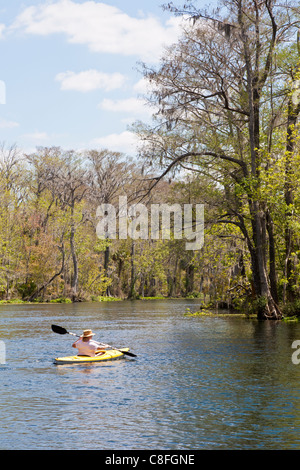 Mann Kajak auf Silver River in der Nähe von Silver Springs Sehenswürdigkeiten in Ocala, Florida Stockfoto