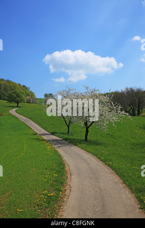 Reisen, Natur, Landwirtschaft, Europa, Schweiz, Baselland, Ackerland, ländlichen, ruhigen, landschaftlich, Landschaft, blauer Himmel, Wolke, Gree Stockfoto