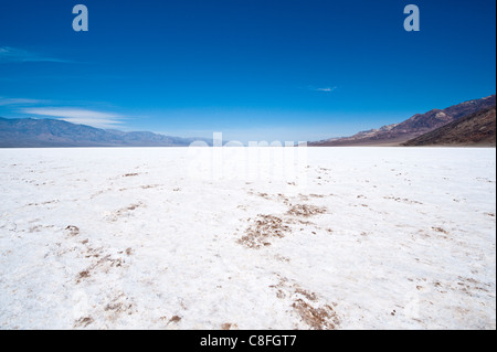 Salzsee in der Nähe von Badwater Basin, Death Valley Nationalpark, Kalifornien, Vereinigte Staaten von Amerika Stockfoto