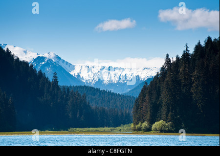 Windham Bay und Chuck River Wilderness Area, südöstlichen Alaska, Alaska, Vereinigte Staaten von Amerika Stockfoto