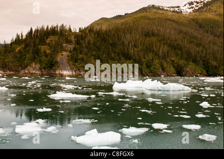 Eisberg im LeConte Bay, südöstlichen Alaska, Alaska, Vereinigte Staaten von Amerika Stockfoto