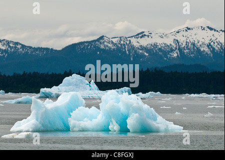 Eisberg im LeConte Bay, südöstlichen Alaska, Alaska, Vereinigte Staaten von Amerika Stockfoto