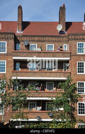 Rat, Gehäuse, Kennington Park Estate, London Borough of Lambeth, London, Greater London, England, Vereinigtes Königreich Stockfoto