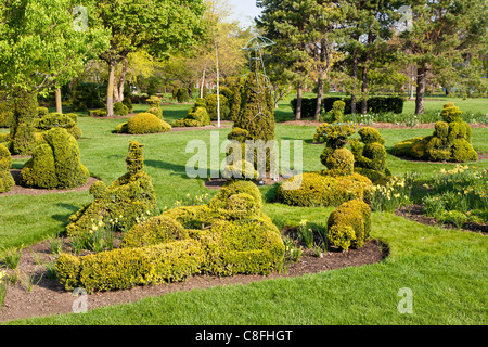 Topiaries im alten Deaf School Formschnitt Park in Columbus, Ohio. Stockfoto