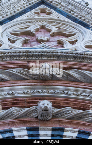 Aus Marmor Detail an der Fassade des Doms in Siena, Toskana, Italien Stockfoto