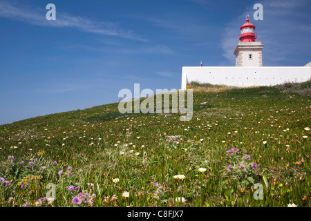 Leuchtturm von Cabo da Roca, westlichen die meisten verweisen auf dem europäischen Festland, Wildblumen schmücken die Klippen Stockfoto