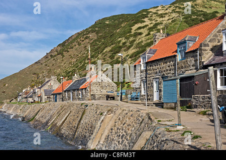 Das ehemalige Fischerdorf Dorf Crovie in Aberdeenshire-Schottland an der Gamrie Bucht mit beherbergt das erhöhte Ufer entlang. Stockfoto