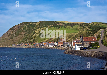 Das ehemalige Fischerdorf Dorf Crovie in Aberdeenshire-Schottland an der Gamrie Bucht mit beherbergt das erhöhte Ufer entlang. Stockfoto