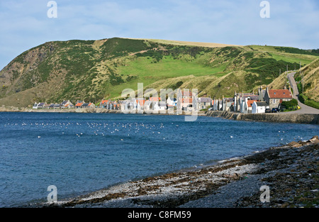 Das ehemalige Fischerdorf Dorf Crovie in Aberdeenshire-Schottland an der Gamrie Bucht mit beherbergt das erhöhte Ufer entlang. Stockfoto