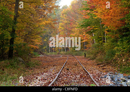 Herbst, Herbst, Bäume mit leuchtend bunten Blättern in Vermont, New England macht eine schönen Laub Szene entlang Eisenbahnschienen. Stockfoto