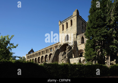 Jedburgh Abbey in der schottischen Grenzen Stockfoto