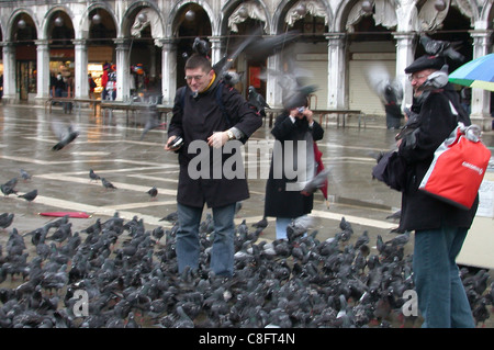 Venedig im Winter, Romantik ist überall in Venedig. Die Geräusche, die Farben sind Tauben Ort Saint-Marc Menschen geben Stockfoto