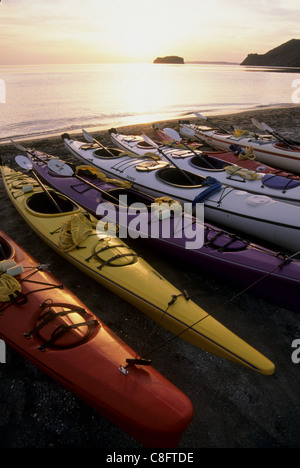 See-Kajaks am Strand, Meer von Cortez, Baja California Sur, Mexiko Stockfoto