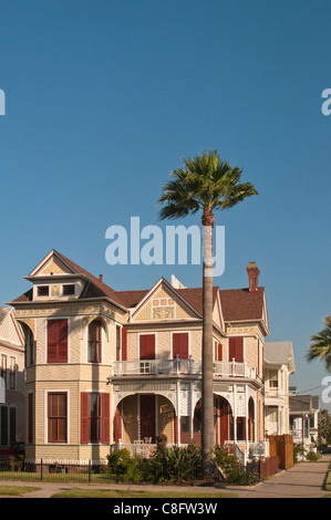 Friedrich Beissner Haus, erbaut 1898, viktorianische Architektur, Ball Avenue im East End Historic District, Galveston, Texas, USA Stockfoto