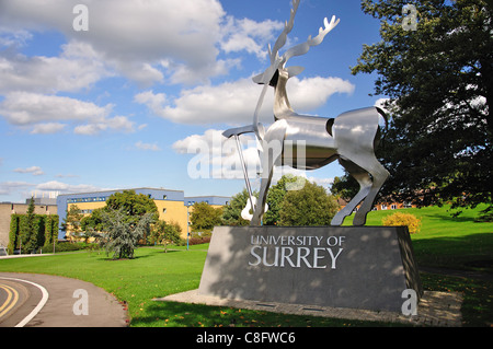 Ortseingangsschild Skulptur, The University of Surrey, Hirsch Hill, Guildford, Surrey, England, Vereinigtes Königreich Stockfoto