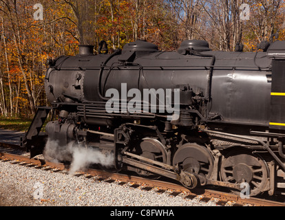 Alte Dampflok zieht Fracht durch ländliche Landschaft im Herbst Stockfoto