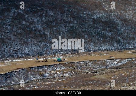 Campingplatz in einem Flusstal in der Nähe von Lingzhi in Bhutan Stockfoto