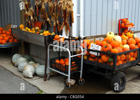 Bauern-Anzeige der Produkte in Stand am Straßenrand zur Verfügung. Stockfoto