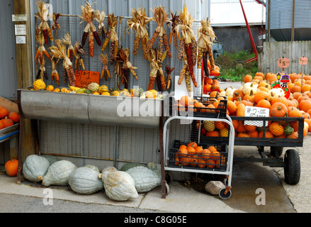 Bauern-Anzeige der Produkte in Stand am Straßenrand zur Verfügung. Stockfoto